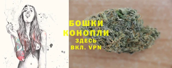 бошки Алексин