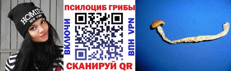 Галлюциногенные грибы GOLDEN TEACHER Белоярский